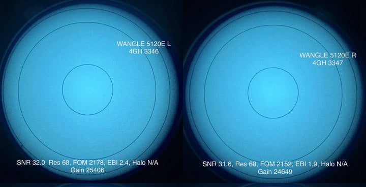DTNVS Wide Angle (WANGLE) | Panning and Articulating Binocular System