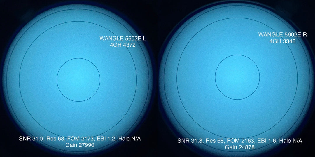 DTNVS Wide Angle (WANGLE) | Panning and Articulating Binocular System
