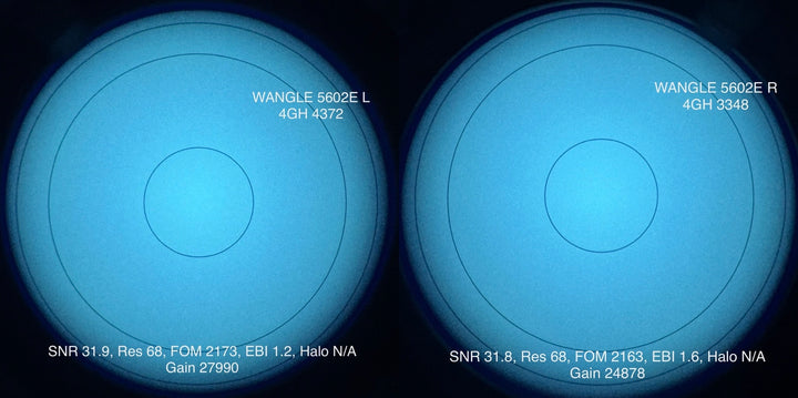 DTNVS Wide Angle (WANGLE) | Panning and Articulating Binocular System