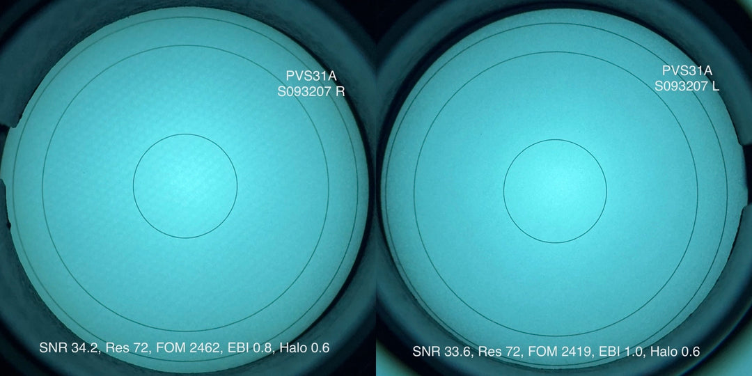 L3Harris PVS-31A, 2376+ FOM Unfilmed White Phosphor
