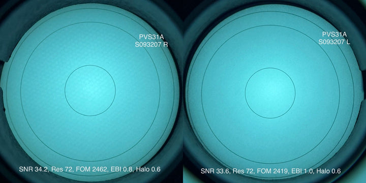 L3Harris PVS-31A, 2376+ FOM Unfilmed White Phosphor